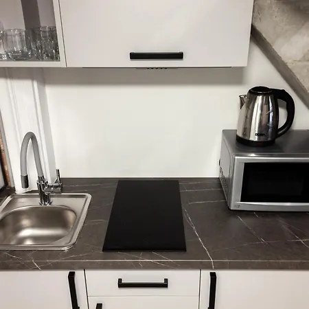 Apartment Royal Mini On Kovzhyna Lviv